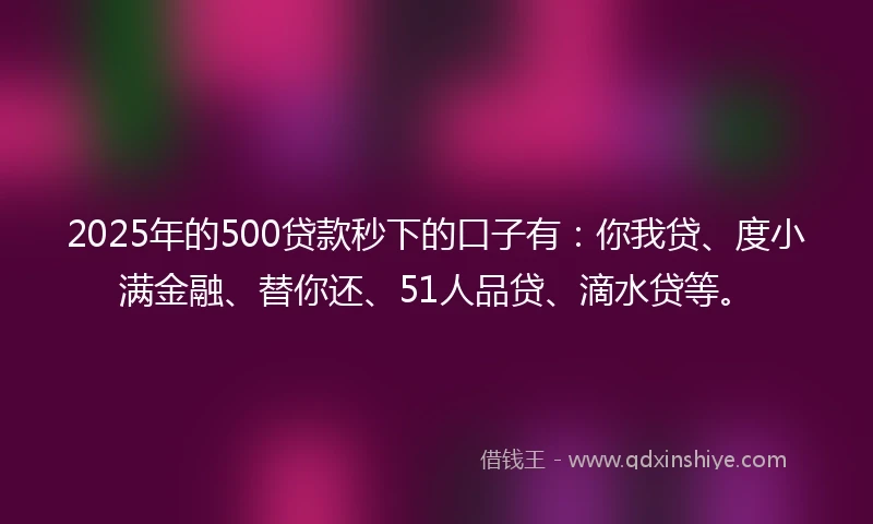 2025年的500贷款秒下的口子有：你我贷、度小满金融、替你还、51人品贷、滴水贷等。