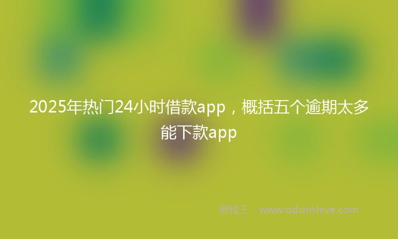2025年热门24小时借款app，概括五个逾期太多能下款app