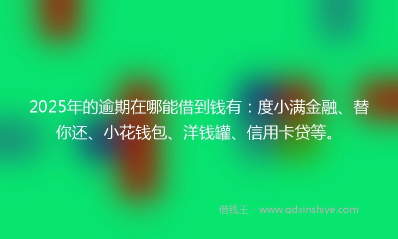 2025年的逾期在哪能借到钱有：度小满金融、替你还、小花钱包、洋钱罐、信用卡贷等。