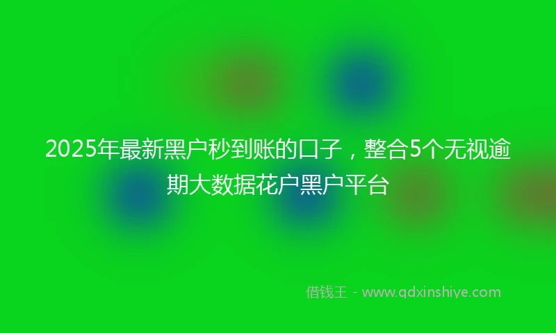 2025年最新黑户秒到账的口子，整合5个无视逾期大数据花户黑户平台