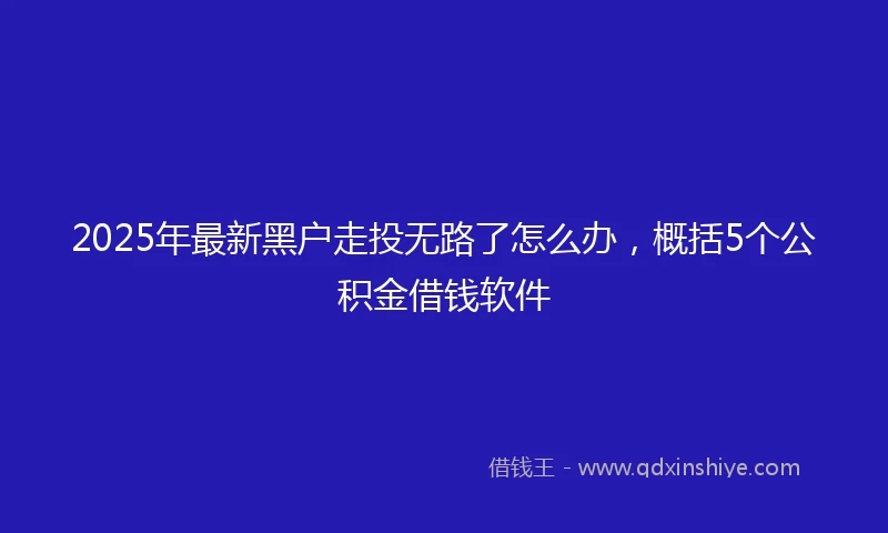 2025年最新黑户走投无路了怎么办，概括5个公积金借钱软件