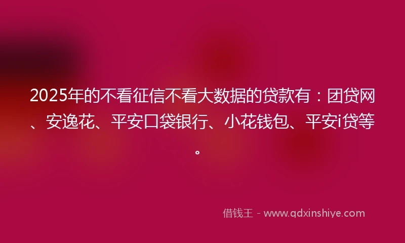 2025年的不看征信不看大数据的贷款有：团贷网、安逸花、平安口袋银行、小花钱包、平安i贷等。