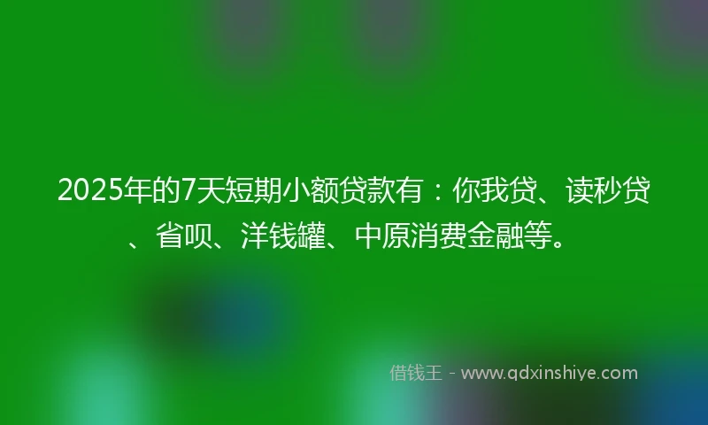 2025年的7天短期小额贷款有：你我贷、读秒贷、省呗、洋钱罐、中原消费金融等。