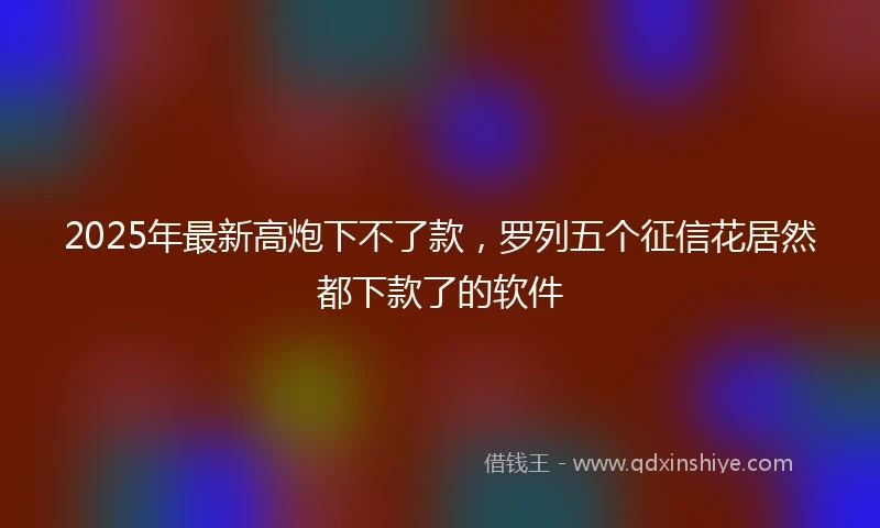 2025年最新高炮下不了款，罗列五个征信花居然都下款了的软件