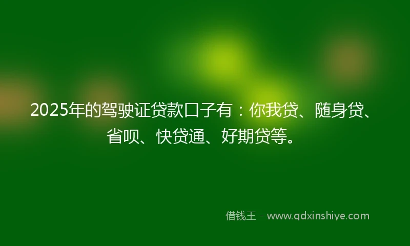 2025年的驾驶证贷款口子有：你我贷、随身贷、省呗、快贷通、好期贷等。