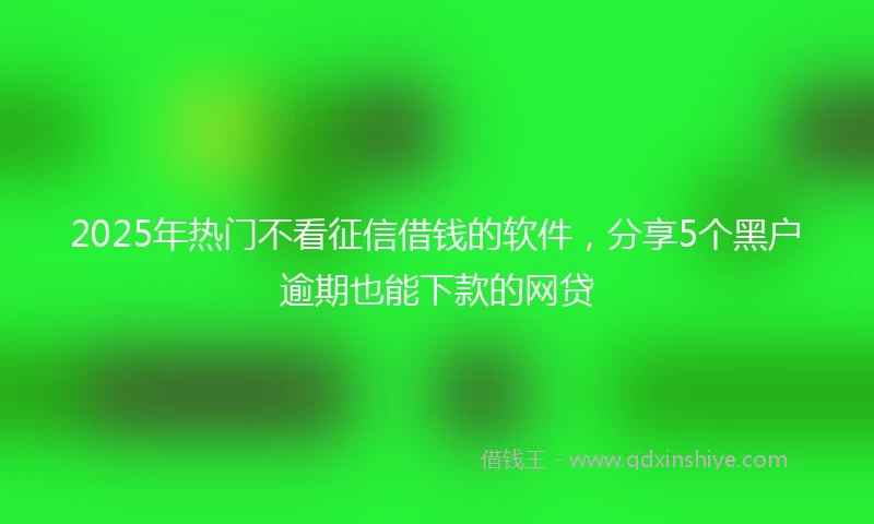 2025年热门不看征信借钱的软件，分享5个黑户逾期也能下款的网贷