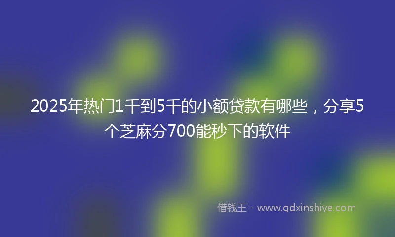 2025年热门1千到5千的小额贷款有哪些，分享5个芝麻分700能秒下的软件