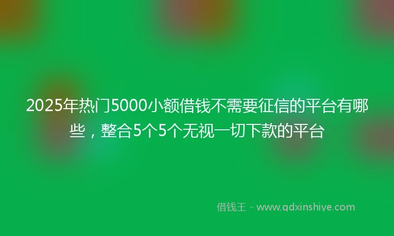 2025年热门5000小额借钱不需要征信的平台有哪些，整合5个5个无视一切下款的平台