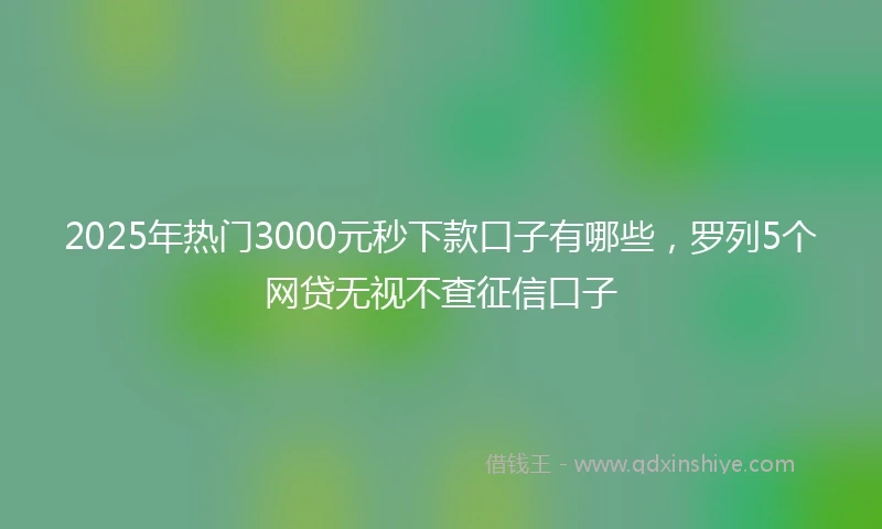 2025年热门3000元秒下款口子有哪些,罗列5个网贷无视不查征信口子