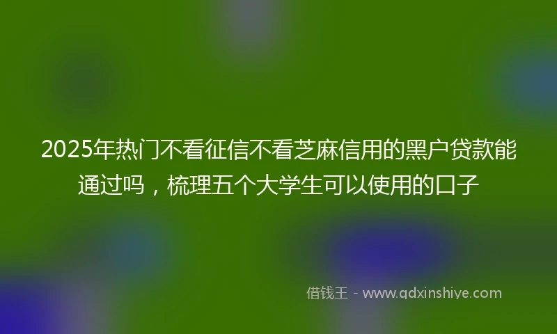 2025年热门不看征信不看芝麻信用的黑户贷款能通过吗,梳理五个大学生可以使用的口子