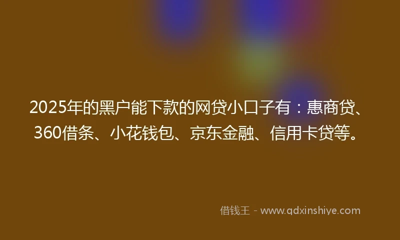 2025年的黑户能下款的网贷小口子有：惠商贷、360借条、小花钱包、京东金融、信用卡贷等。