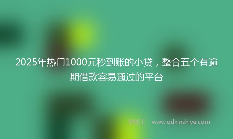 2025年热门1000元秒到账的小贷，整合五个有逾期借款容易通过的平台