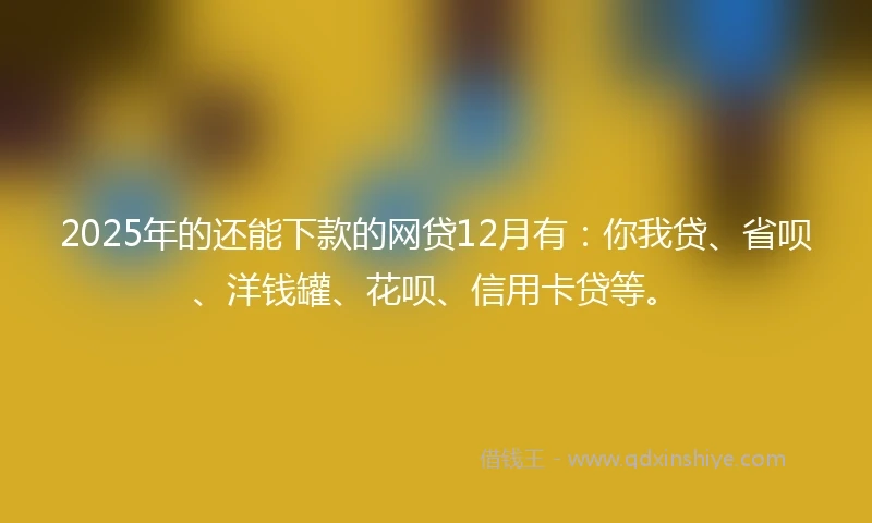 2025年的还能下款的网贷12月有：你我贷、省呗、洋钱罐、花呗、信用卡贷等。