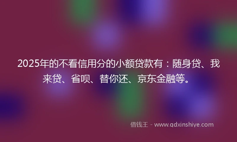 2025年的不看信用分的小额贷款有：随身贷、我来贷、省呗、替你还、京东金融等。