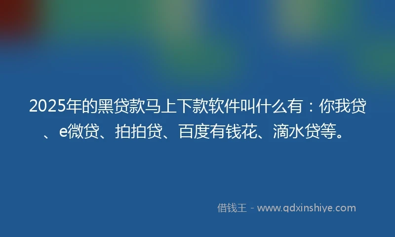2025年的黑贷款马上下款软件叫什么有：你我贷、e微贷、拍拍贷、百度有钱花、滴水贷等。