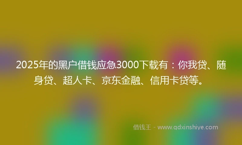 2025年的黑户借钱应急3000下载有：你我贷、随身贷、超人卡、京东金融、信用卡贷等。