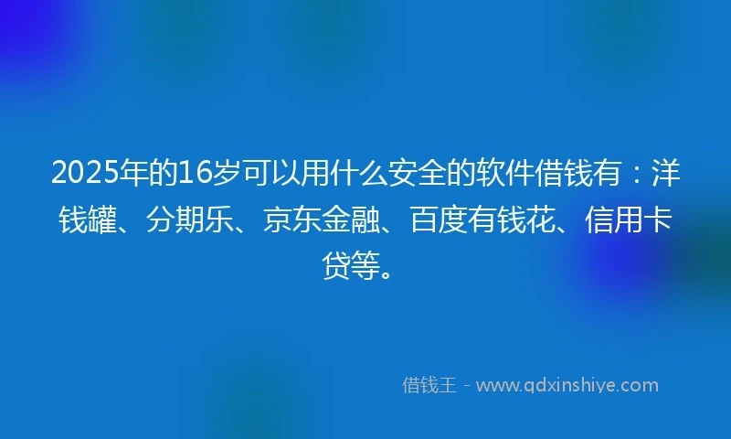 2025年的16岁可以用什么安全的软件借钱有：洋钱罐、分期乐、京东金融、百度有钱花、信用卡贷等。