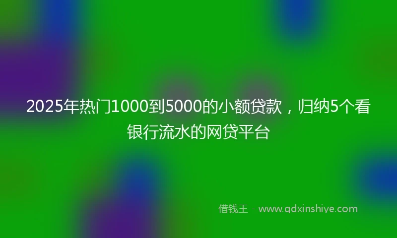 2025年热门1000到5000的小额贷款，归纳5个看银行流水的网贷平台