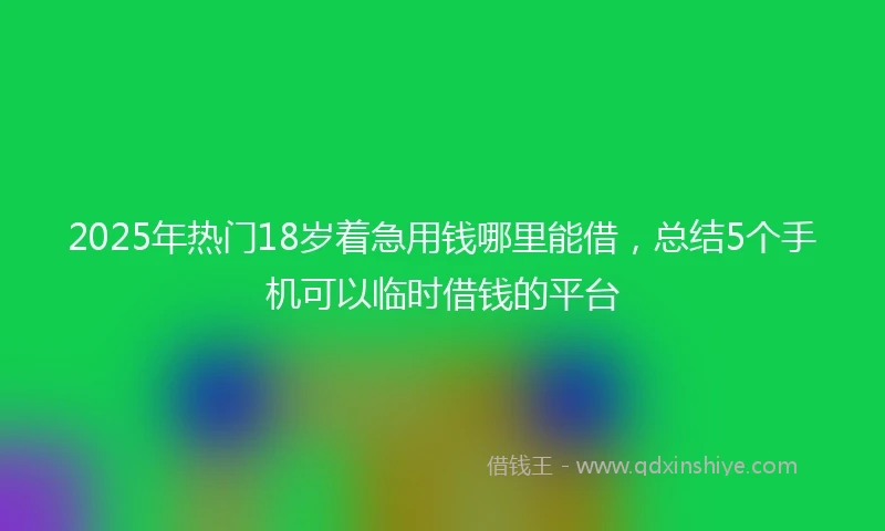 2025年热门18岁着急用钱哪里能借,总结5个手机可以临时借钱的平台