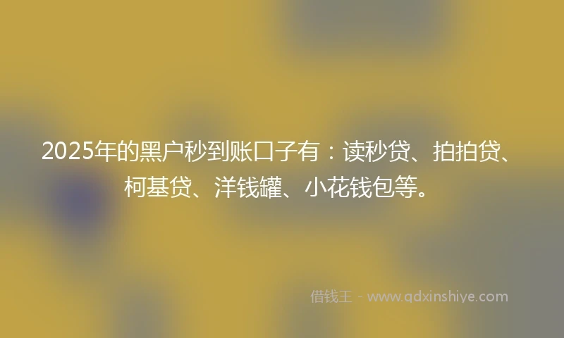 2025年的黑户秒到账口子有：读秒贷、拍拍贷、柯基贷、洋钱罐、小花钱包等。