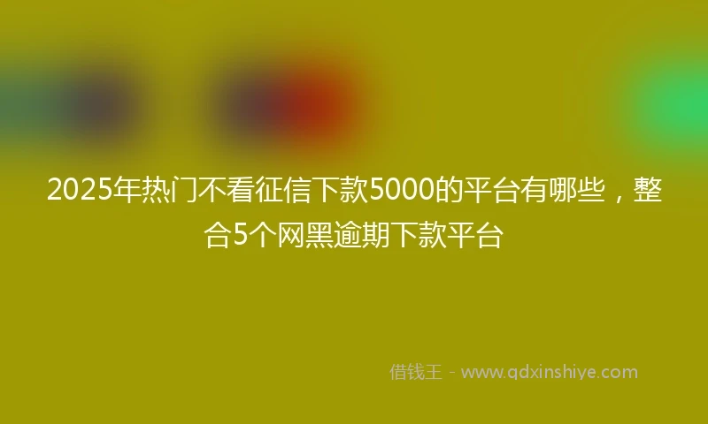 2025年热门不看征信下款5000的平台有哪些，整合5个网黑逾期下款平台