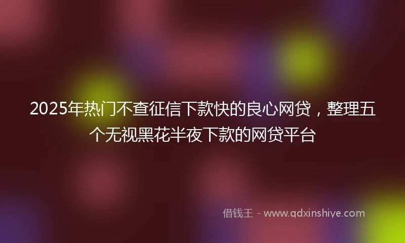 2025年热门不查征信下款快的良心网贷，整理五个无视黑花半夜下款的网贷平台