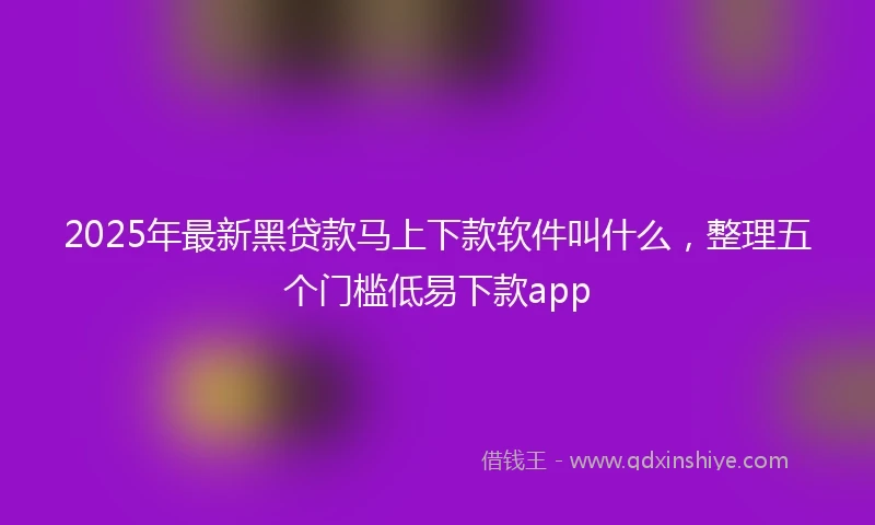 2025年最新黑贷款马上下款软件叫什么，整理五个门槛低易下款app