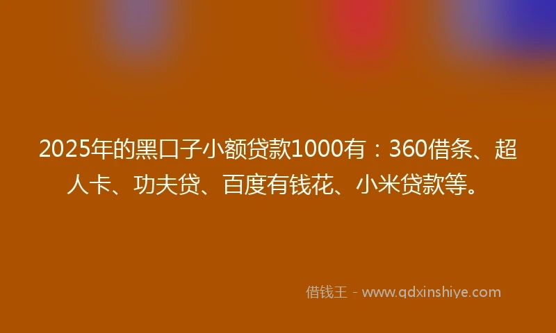 2025年的黑口子小额贷款1000有：360借条、超人卡、功夫贷、百度有钱花、小米贷款等。