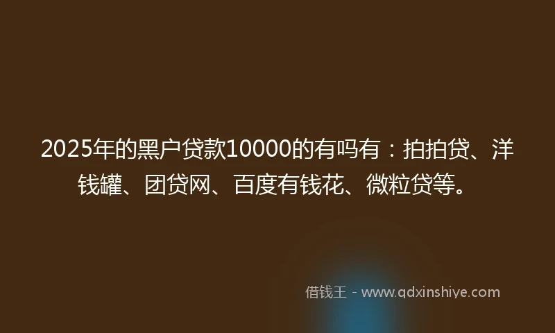 2025年的黑户贷款10000的有吗有：拍拍贷、洋钱罐、团贷网、百度有钱花、微粒贷等。