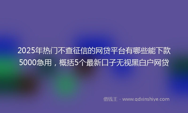 2025年热门不查征信的网贷平台有哪些能下款5000急用,概括5个最新口子无视黑白户网贷
