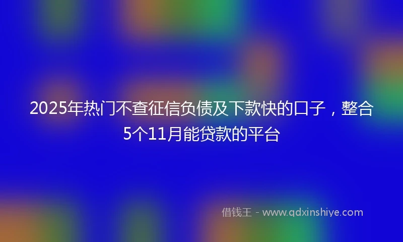2025年热门不查征信负债及下款快的口子，整合5个11月能贷款的平台