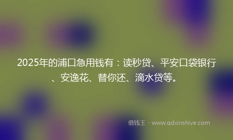 2025年的浦口急用钱有：读秒贷、平安口袋银行、安逸花、替你还、滴水贷等。