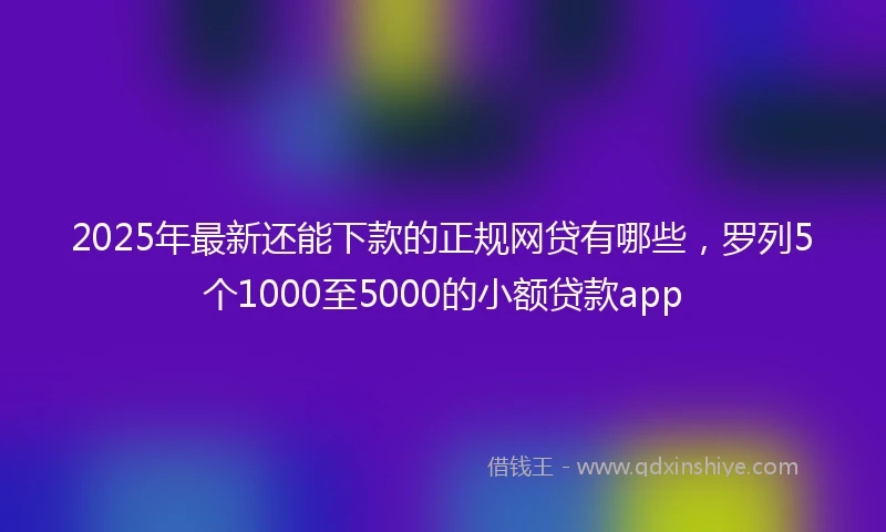 2025年最新还能下款的正规网贷有哪些，罗列5个1000至5000的小额贷款app