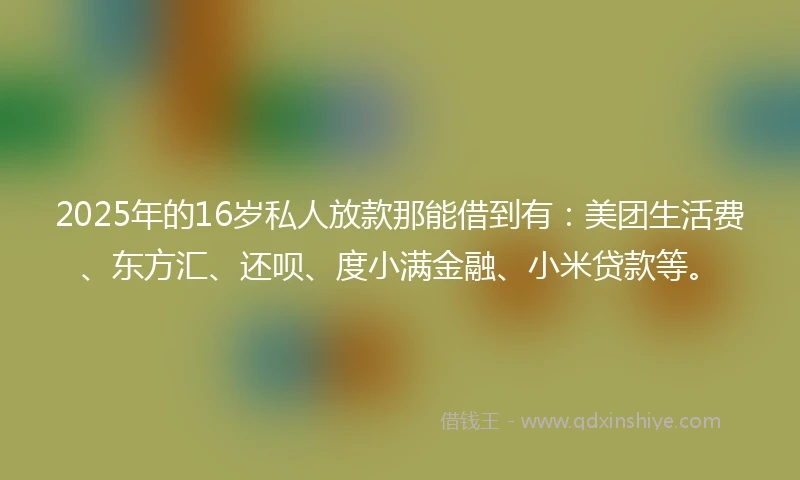 2025年的16岁私人放款那能借到有：美团生活费、东方汇、还呗、度小满金融、小米贷款等。