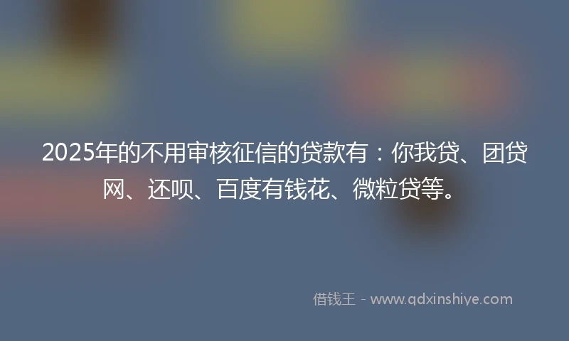 2025年的不用审核征信的贷款有：你我贷、团贷网、还呗、百度有钱花、微粒贷等。