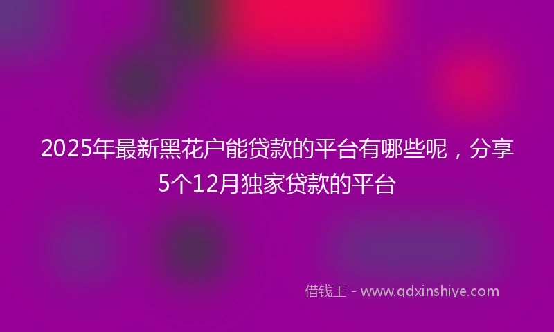 2025年最新黑花户能贷款的平台有哪些呢，分享5个12月独家贷款的平台