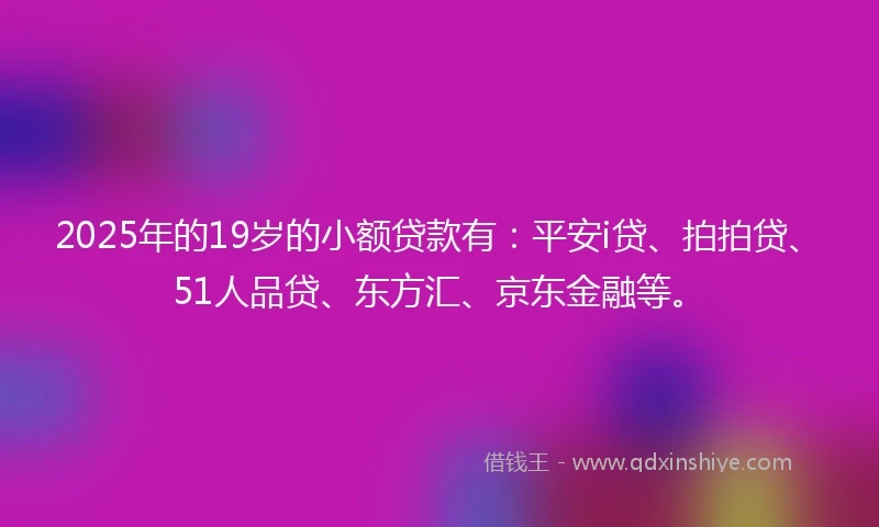 2025年的19岁的小额贷款有：平安i贷、拍拍贷、51人品贷、东方汇、京东金融等。