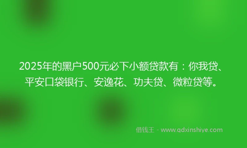 2025年的黑户500元必下小额贷款有：你我贷、平安口袋银行、安逸花、功夫贷、微粒贷等。