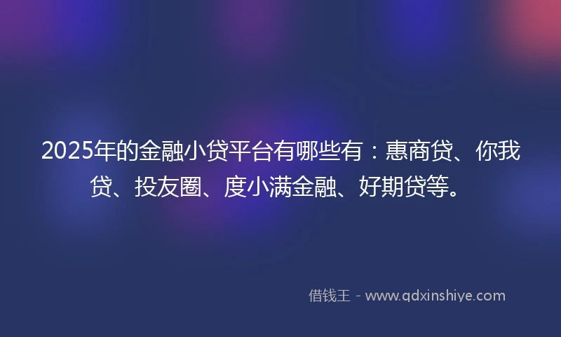 2025年的金融小贷平台有哪些有：惠商贷、你我贷、投友圈、度小满金融、好期贷等。