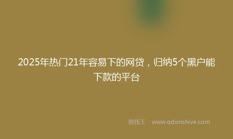 2025年热门21年容易下的网贷，归纳5个黑户能下款的平台