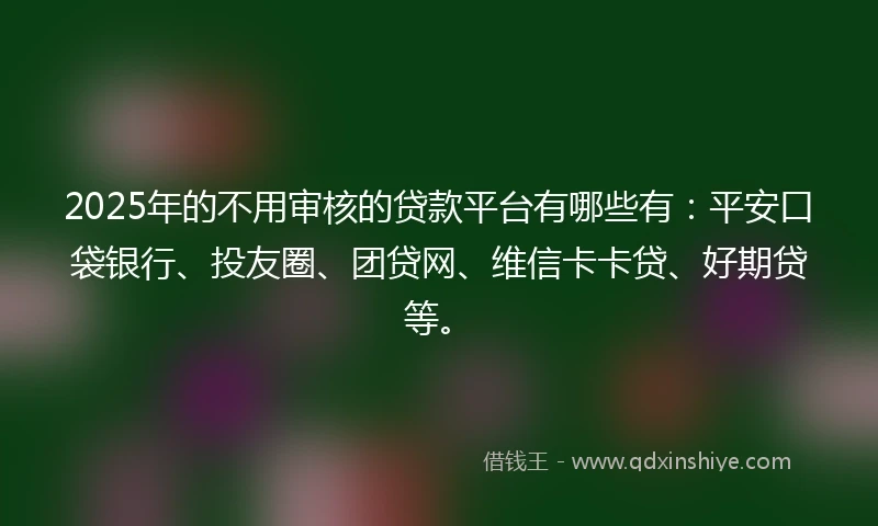 2025年的不用审核的贷款平台有哪些有：平安口袋银行、投友圈、团贷网、维信卡卡贷、好期贷等。