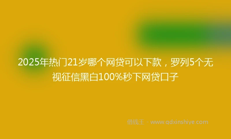 2025年热门21岁哪个网贷可以下款，罗列5个无视征信黑白100%秒下网贷口子