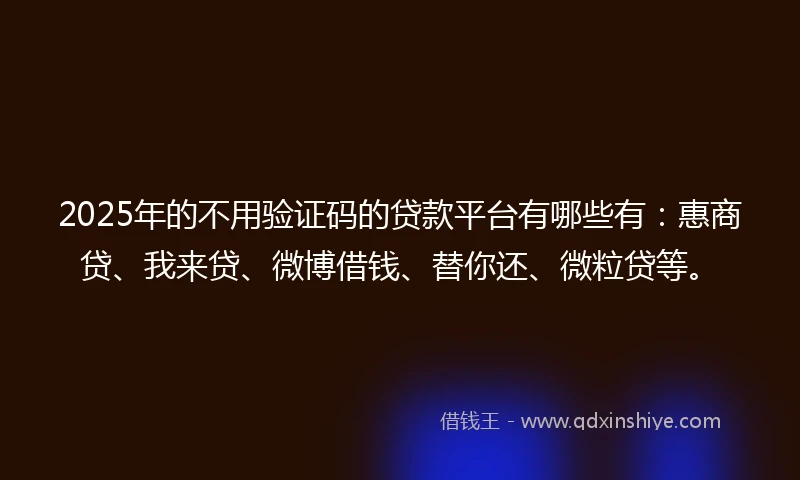 2025年的不用验证码的贷款平台有哪些有：惠商贷、我来贷、微博借钱、替你还、微粒贷等。