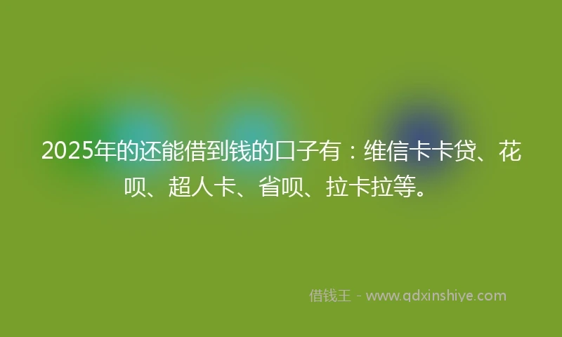 2025年的还能借到钱的口子有：维信卡卡贷、花呗、超人卡、省呗、拉卡拉等。