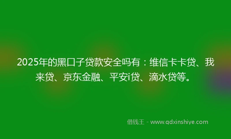 2025年的黑口子贷款安全吗有：维信卡卡贷、我来贷、京东金融、平安i贷、滴水贷等。