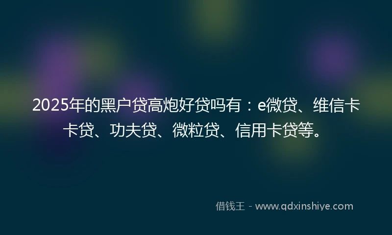 2025年的黑户贷高炮好贷吗有：e微贷、维信卡卡贷、功夫贷、微粒贷、信用卡贷等。