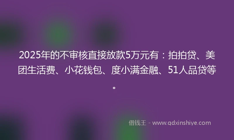 2025年的不审核直接放款5万元有：拍拍贷、美团生活费、小花钱包、度小满金融、51人品贷等。