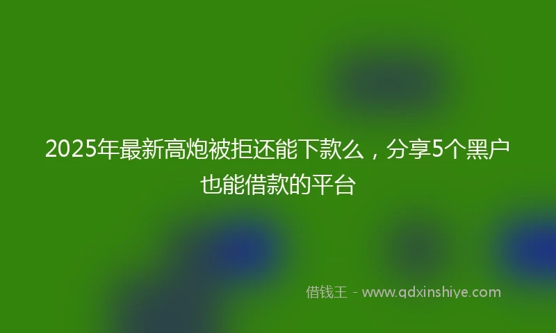 2025年最新高炮被拒还能下款么，分享5个黑户也能借款的平台