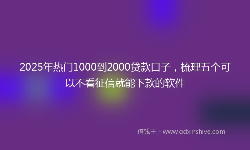 2025年热门1000到2000贷款口子,梳理五个可以不看征信就能下款的软件