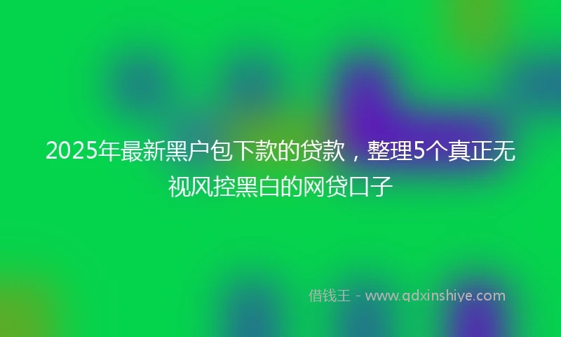 2025年最新黑户包下款的贷款，整理5个真正无视风控黑白的网贷口子